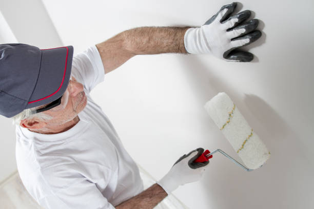 Best Dehumidification Services  in Gaylord, MI