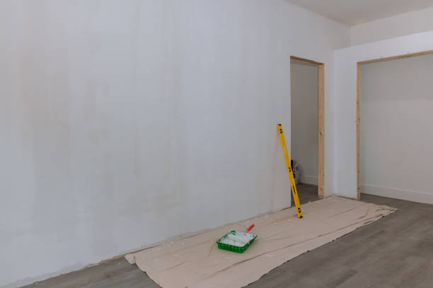 Professional Mold Removal in Gaylord, MI