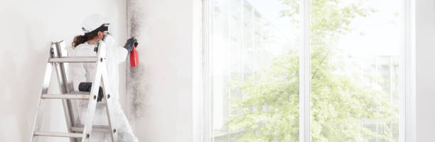 Best Mold Remediation for Healthcare Facilities  in Gaylord, MI