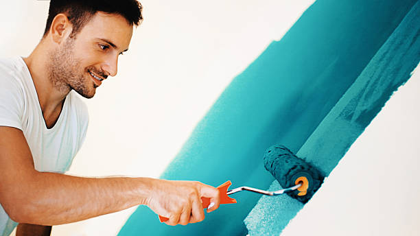 Best Mold Removal for HVAC Installations  in Gaylord, MI